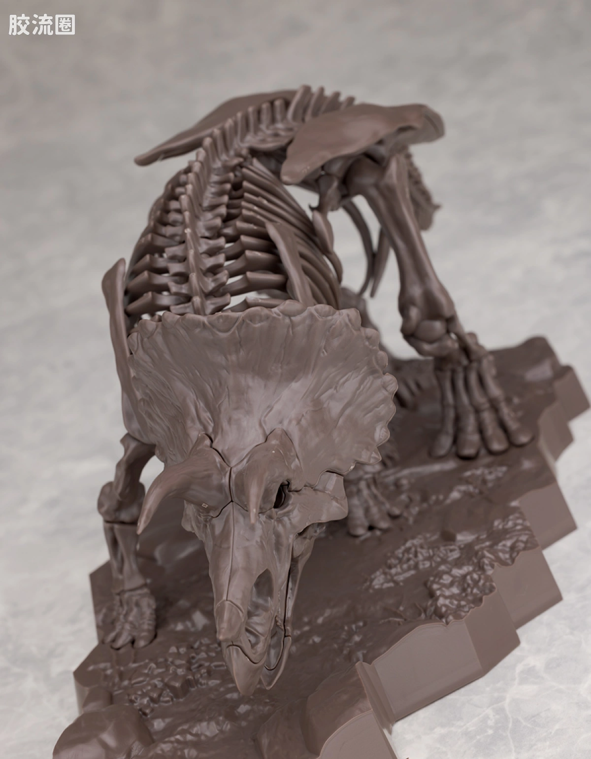 万代综合拼装模型系列 Imaginary Skeleton系列 三角龙 - 图片